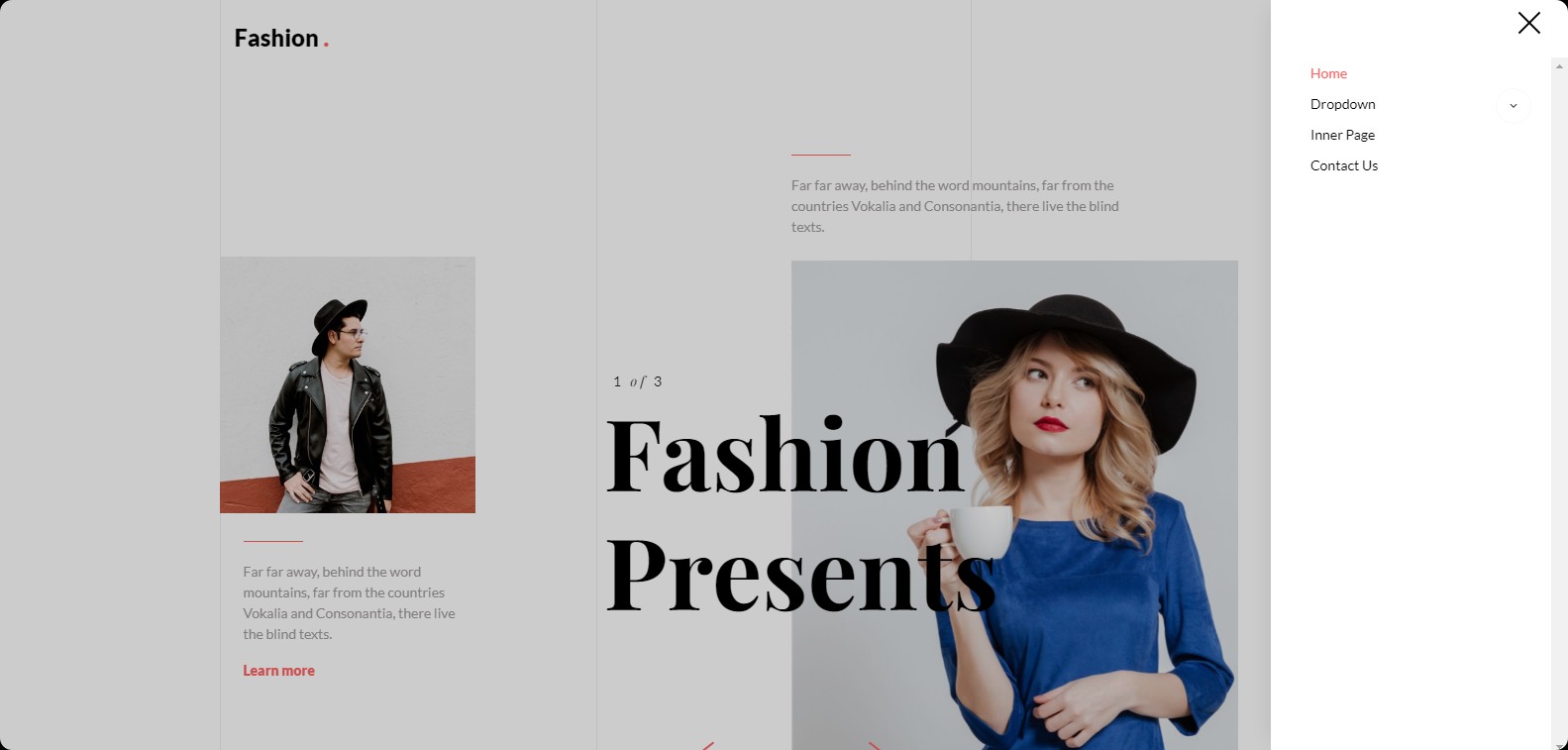 HTML时尚女装介绍模板-微分享自媒体驿站