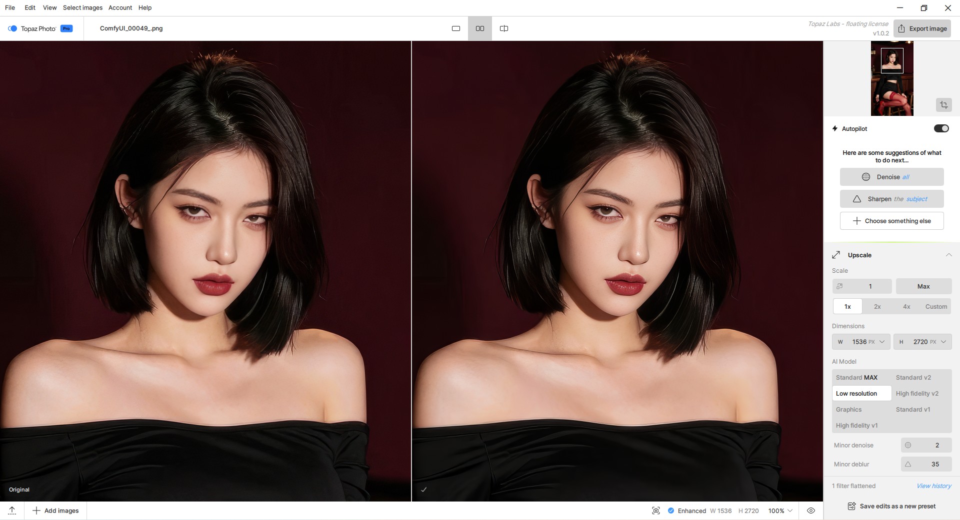 Topaz Photo(图像增强软件) Pro v1.0.3绿色版+MODEL模型-逃课猫Deepfacelab|AI智能研究站
