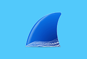 Wireshark中文版 v4.6.0 免费网络嗅探抓包工具多语便携版