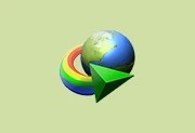 Internet Download Manager-IDM下载器 v6.42.50简体中文直装破解版-蕾格格部落-蕾格格下载站