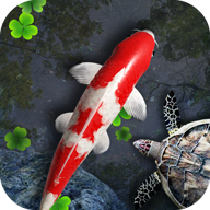 安卓鱼池v2.04 逼真的锦鲤池塘动态壁纸-蕾格格部落-蕾格格下载站