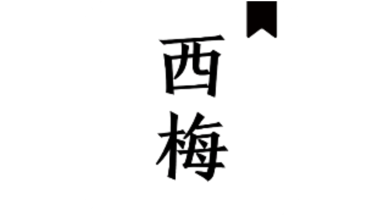西梅小说V10818s:免费书源海量汇聚,搜索阅读两不误!-蕾格格部落-蕾格格下载站