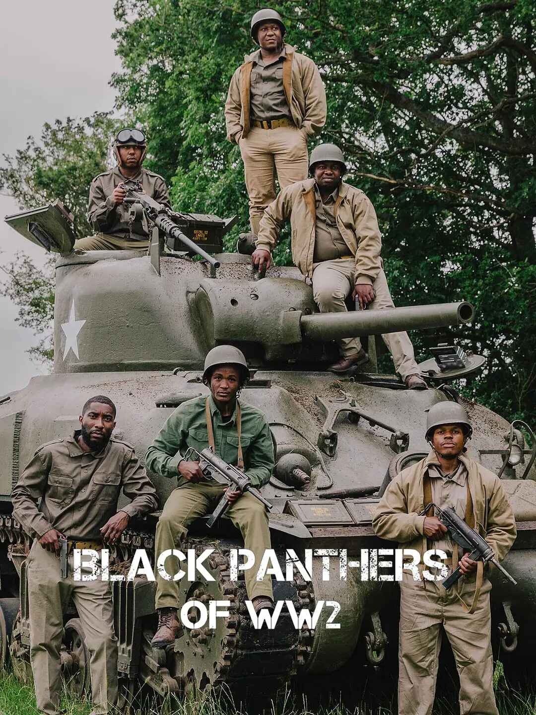 二战黑豹.简繁英字幕.Black.Panthers.Of.WWII.2025.REMUX.Bluray.1080p-微分享自媒体驿站