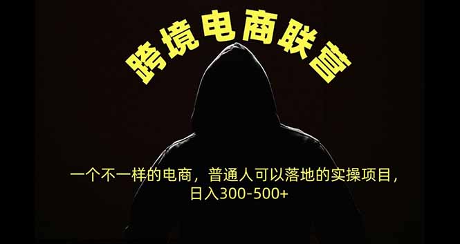 跨境电商联营,一个不一样的电商,普通人可操作日入300-500+-酷乐网