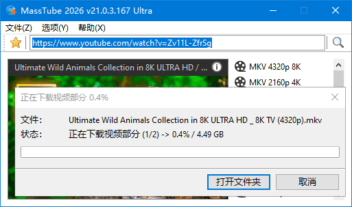MassTube  Ultra v21.0.3.167 YouTube视频下载工具多语便携版